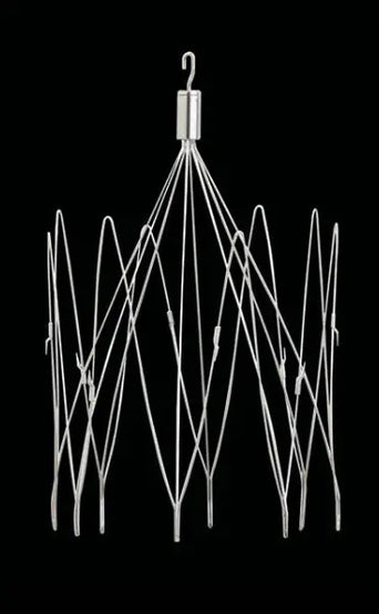 A BBraun Vena Cava Filter