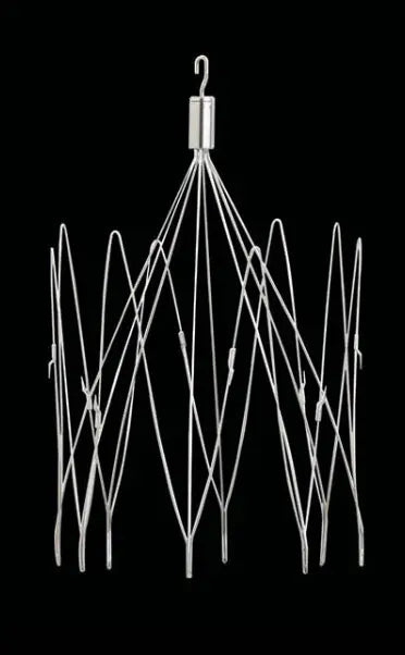 A BBraun Vena Cava Filter