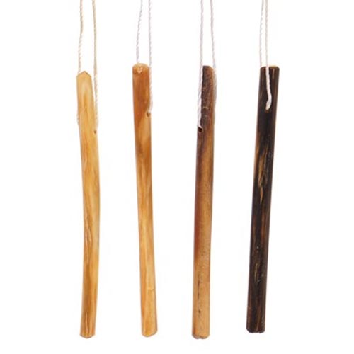 A photo of Laminaria Japonica