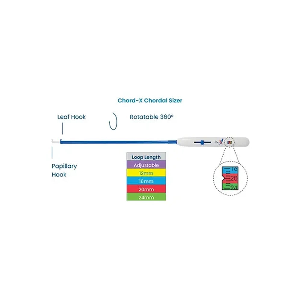 A product diagram of a Chord-X Chordal Sizer with labeled parts including the leaf hook, papillary hook, and a color chart showing adjustable loop lengths from 12mm to 24mm.